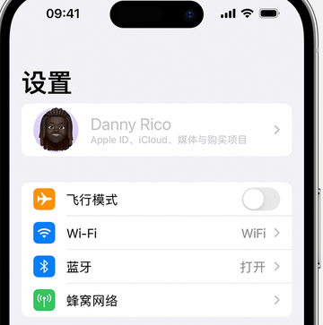 金堂appleID维修服务iPhone设置中Apple ID显示为灰色无法使用 