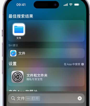 金堂apple维修中心分享iPhone文件应用中存储和找到下载文件 