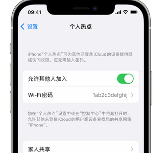 金堂apple服务站点分享iPhone上个人热点丢失了怎么办 