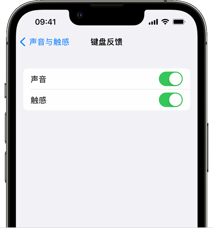 金堂苹果14维修店分享如何在 iPhone 14 机型中使用触感键盘 