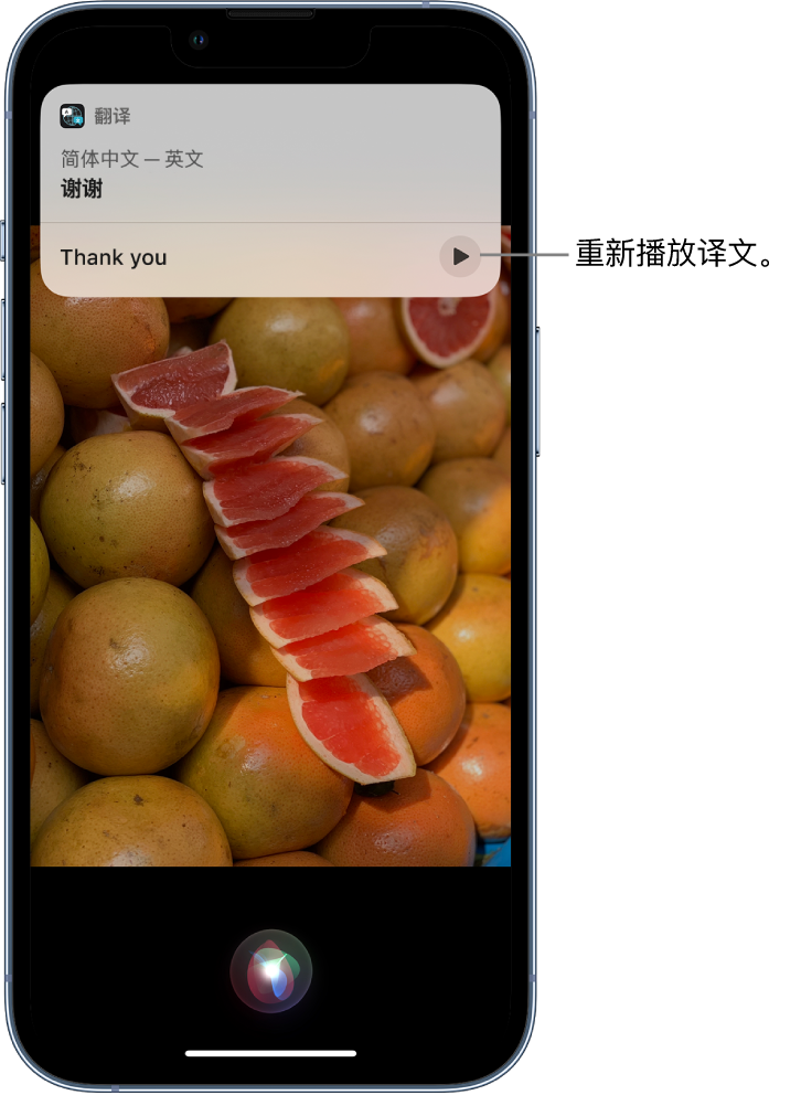 金堂苹果14维修分享 iPhone 14 机型中使用 Siri：了解 Siri 能帮你做什么 