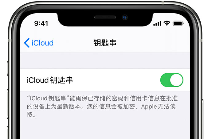 金堂苹果手机维修分享在 iPhone 上开启 iCloud 钥匙串之后会储存哪些信息 