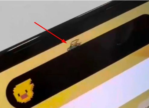金堂苹果14维修分享iPhone 14 Pro Max灵动岛怎么养宠物 