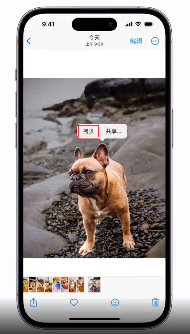 金堂苹果手机维修分享 iOS 16 自带一键抠图功能 