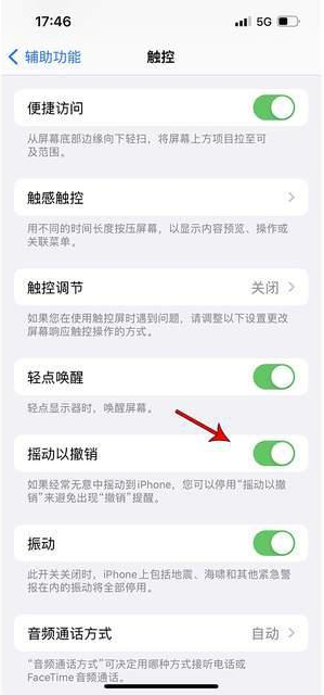 金堂苹果手机维修分享iPhone手机如何设置摇一摇删除文字 