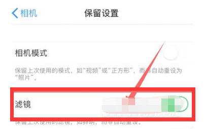 金堂苹果13维修分享iPhone13拍照有绿点是怎么回事 