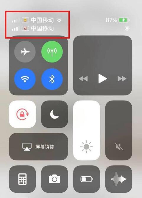 金堂苹果手机维修分享为 iPhone 12 双卡设置标签 