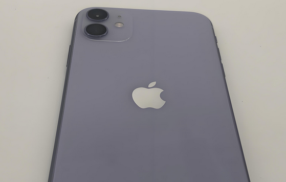 金堂苹果11系统维修分享iPhone11手机系统崩溃无法开机如何解决