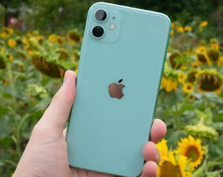 金堂苹果维修点分享iPhone 11锁屏密码认知与使用科普 